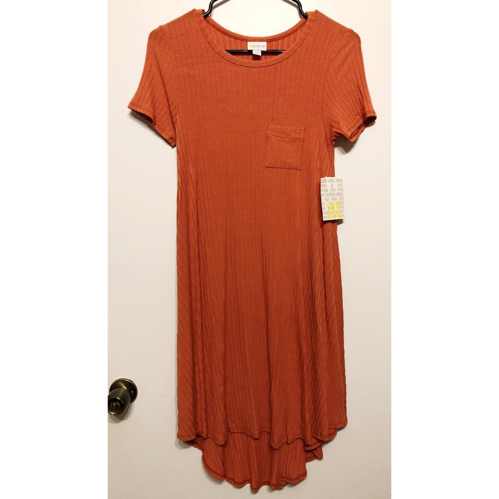 🧡HP🧡 LuLaRoe Carly Dress // XXS
